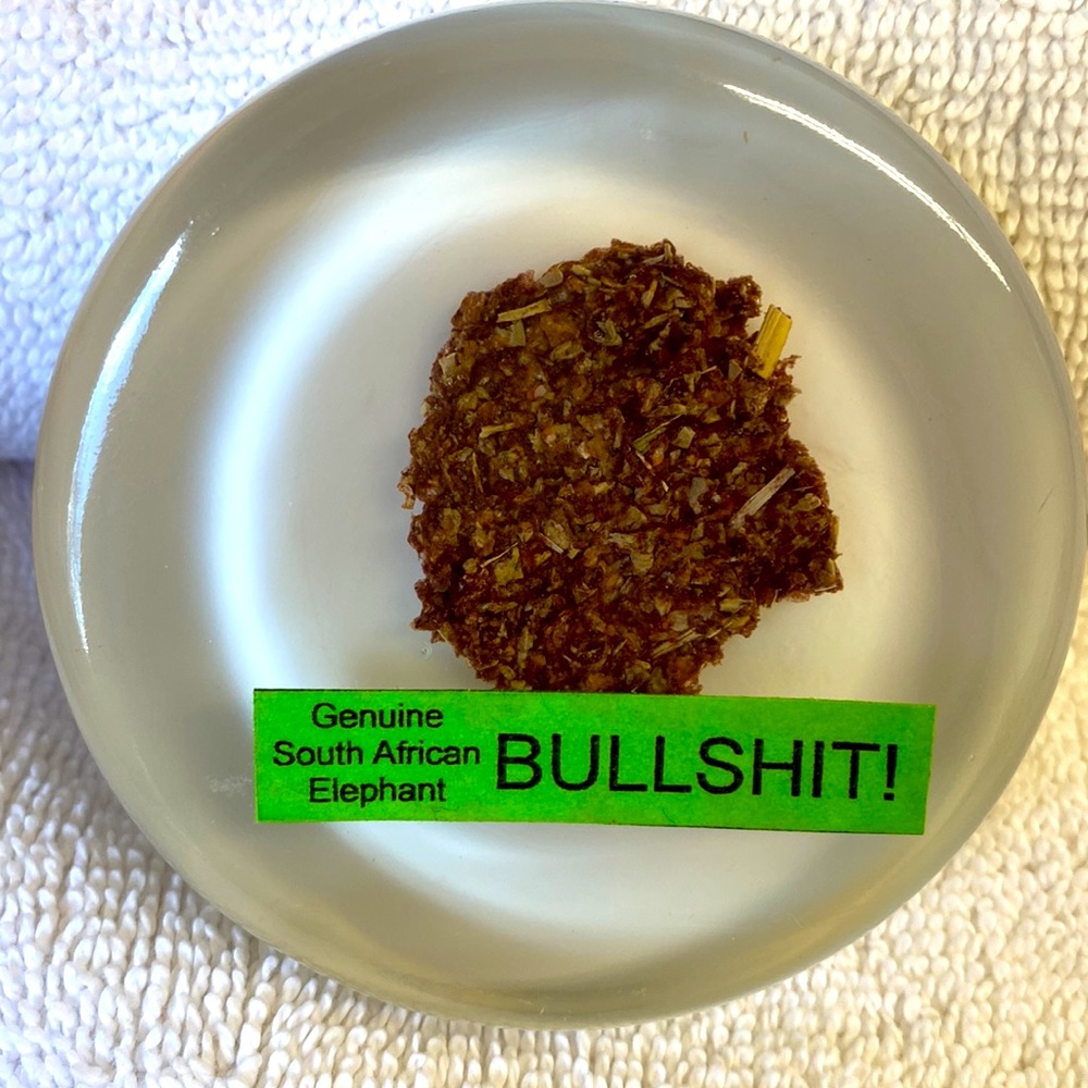Genuine South Africa Elephant Bullshit Dung Poop Paperweight Unique Gag Fun Gift